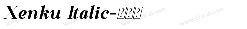 Xenku Italic字体转换